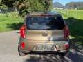 Kia Picanto Attract Braun - thumbnail 5