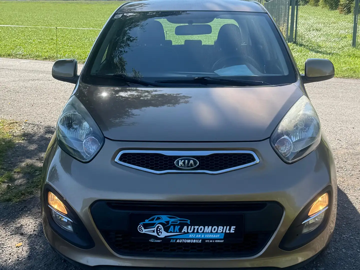 Kia Picanto Attract Braun - 1