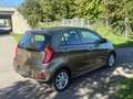 Kia Picanto Attract Braun - thumbnail 4