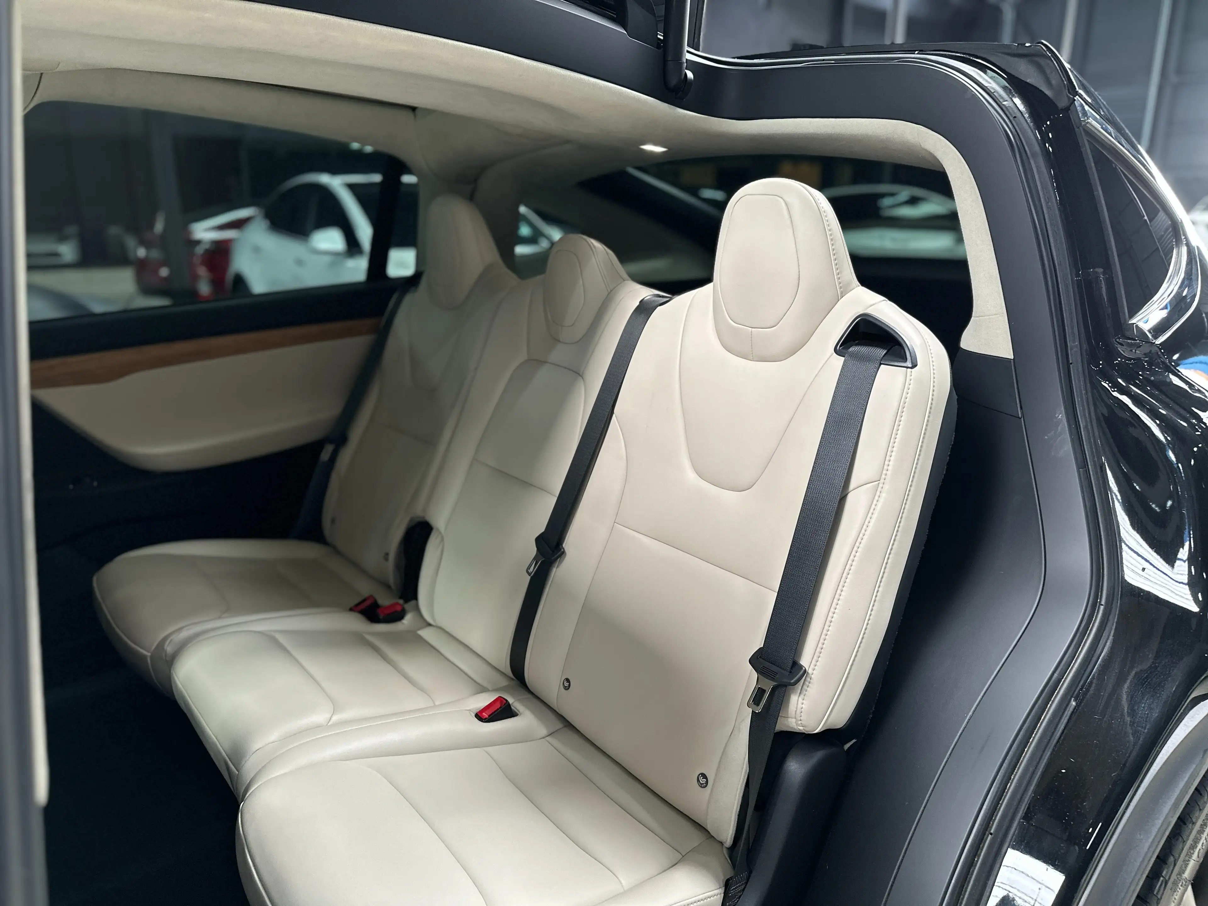 Tesla Model X PERFORMANCE  - RAVEN MODEL - FSD — photo 14