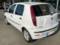 Fiat Punto Classic 1.2 5 porte Natural Power Wit - thumbnail 9