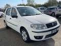 Fiat Punto Classic 1.2 5 porte Natural Power Wit - thumbnail 4