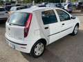 Fiat Punto Classic 1.2 5 porte Natural Power Wit - thumbnail 11