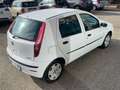 Fiat Punto Classic 1.2 5 porte Natural Power Wit - thumbnail 10