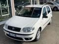 Fiat Punto Classic 1.2 5 porte Natural Power Wit - thumbnail 3
