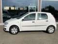 Fiat Punto Classic 1.2 5 porte Natural Power Wit - thumbnail 2
