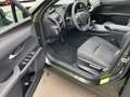 Lexus UX 250h Style Edition ACC FLA SpurH LM KAM LED Зелений - thumbnail 11