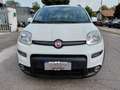 Fiat Panda 0.9 TwinAir Turbo Natural Power City Life Bianco - thumbnail 8