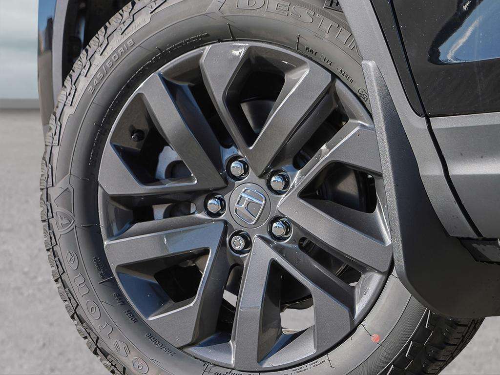Image 7