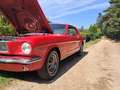 Ford Mustang Roşu - thumbnail 5
