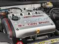 Alfa Romeo GTV GTV My99 1.8 ts 16v Rosso Alfa Rot - thumbnail 12