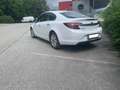 Opel Insignia Insignia 2,0 CDTI Ecotec Cosmo Aut. Cosmo Weiß - thumbnail 5