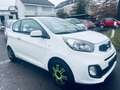 Kia Picanto Dream Team elektr.Fenster,Klima,Tüv Neu Blanc - thumbnail 3