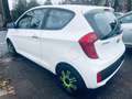 Kia Picanto Dream Team elektr.Fenster,Klima,Tüv Neu Blanc - thumbnail 4