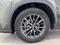 Lexus NX 300h 350h Business City 4WD Verde - thumbnail 5