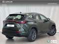 Lexus NX 300h 350h Business City 4WD Verde - thumbnail 3
