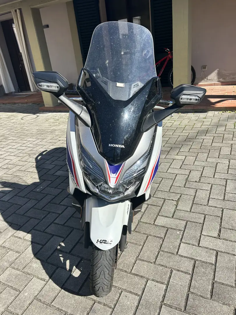 Honda Forza 300 Delux - 2