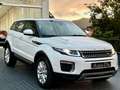 Land Rover Range Rover Evoque 2.0eD4 SE Dynamic 2WD 150 Blanco - thumbnail 10