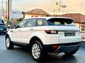 Land Rover Range Rover Evoque 2.0eD4 SE Dynamic 2WD 150 Blanco - thumbnail 14