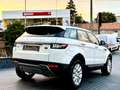 Land Rover Range Rover Evoque 2.0eD4 SE Dynamic 2WD 150 Blanco - thumbnail 13