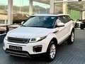 Land Rover Range Rover Evoque 2.0eD4 SE Dynamic 2WD 150 Blanco - thumbnail 12