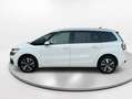 Citroen C4 BlueHDi 96KW (130CV) S&amp;S Live Blanco - thumbnail 21