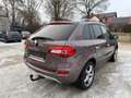 Renault Koleos Dynamique AHK Klimaautomatik Leder 2*PDC Braun - thumbnail 8
