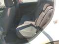 Fiat Punto Evo 1.2i Easy Wit - thumbnail 14