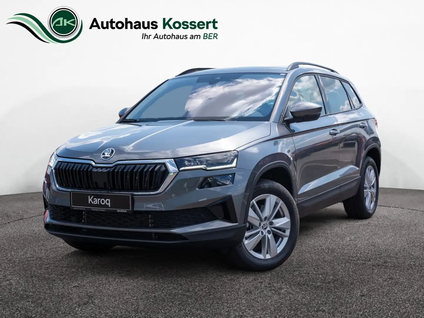 Skoda Karoq 2.0 TDI Selection 4x4 KAMERA NAVI AHK Grau - 1