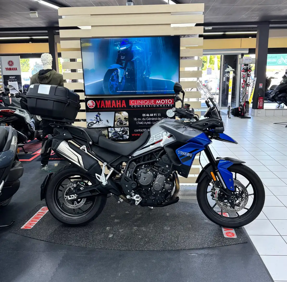 Triumph Zwart - 1