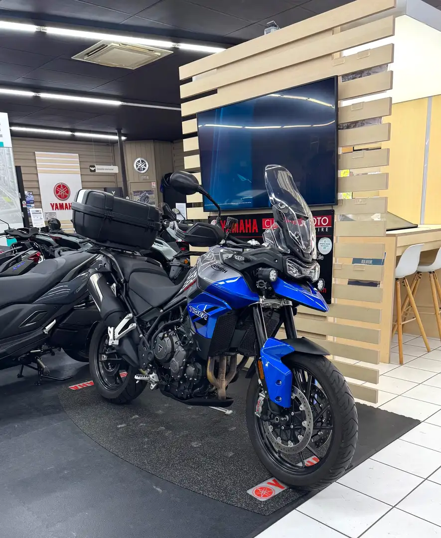 Triumph Zwart - 2