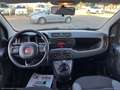 Fiat Panda 1.2 Lounge Bianco - thumbnail 17