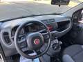 Fiat Panda 1.2 Lounge Bianco - thumbnail 10