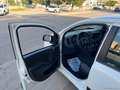 Fiat Panda 1.2 Lounge Bianco - thumbnail 12