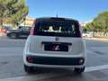 Fiat Panda 1.2 Lounge Bianco - thumbnail 5