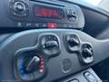 Fiat Panda 1.2 Lounge Bianco - thumbnail 14