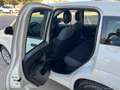 Fiat Panda 1.2 Lounge Bianco - thumbnail 16