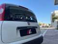 Fiat Panda 1.2 Lounge Bianco - thumbnail 7