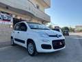 Fiat Panda 1.2 Lounge Bianco - thumbnail 3