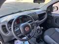 Fiat Panda 1.2 Lounge Bianco - thumbnail 9