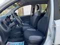 Fiat Panda 1.2 Lounge Bianco - thumbnail 11