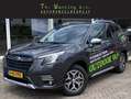 Subaru Forester 2.0 AWD Luxury | Grijs kenteken | Navigatie | Appe - thumbnail 1