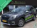 Subaru Forester 2.0 AWD Luxury | Grijs kenteken | Navigatie | Appe - thumbnail 1