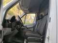 Mercedes-Benz Sprinter 313 CDI MEDIO 3.5T T. ALTO Weiß - thumbnail 15