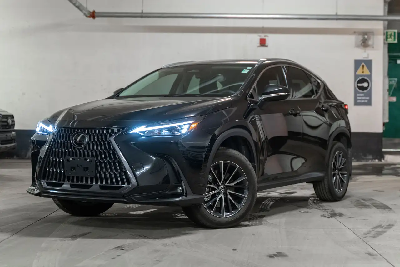 2024 Lexus NX
