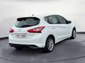 Nissan Pulsar Visia White - thumbnail 4