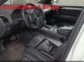 Audi Q7 Q7 3,0 TDI QU ACC,Luftfederung,Panoramad.Rückf. Weiß - thumbnail 1