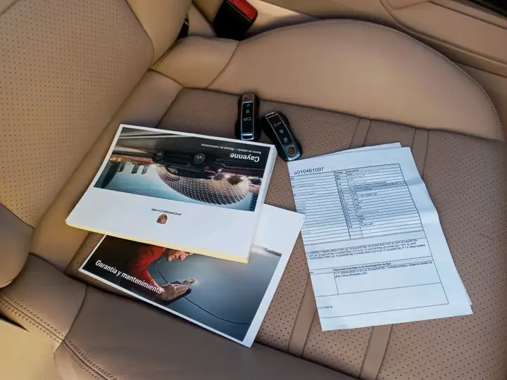 Porsche Cayenne Coupé E-Hybrid 3.0 2020, foto 12