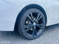 BMW 116 1-serie 116d High Executive Sport / Leder / Dak / Blanc - thumbnail 31
