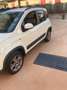 Fiat Panda Panda 0.9 t.air turbo 4x4 85cv E6 Blanc - thumbnail 3